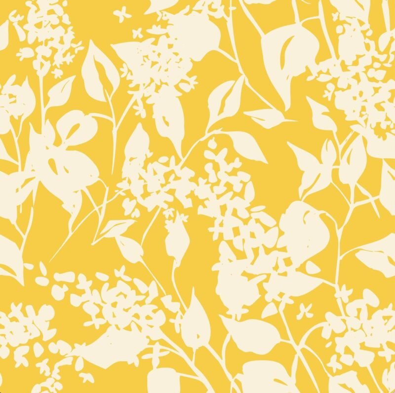 Yellow And White Blooms  Wallpaper