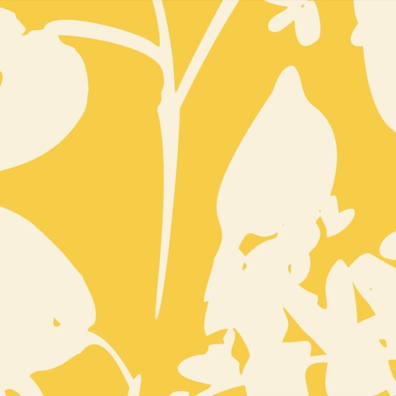 Yellow And White Blooms  Wallpaper - Image 3
