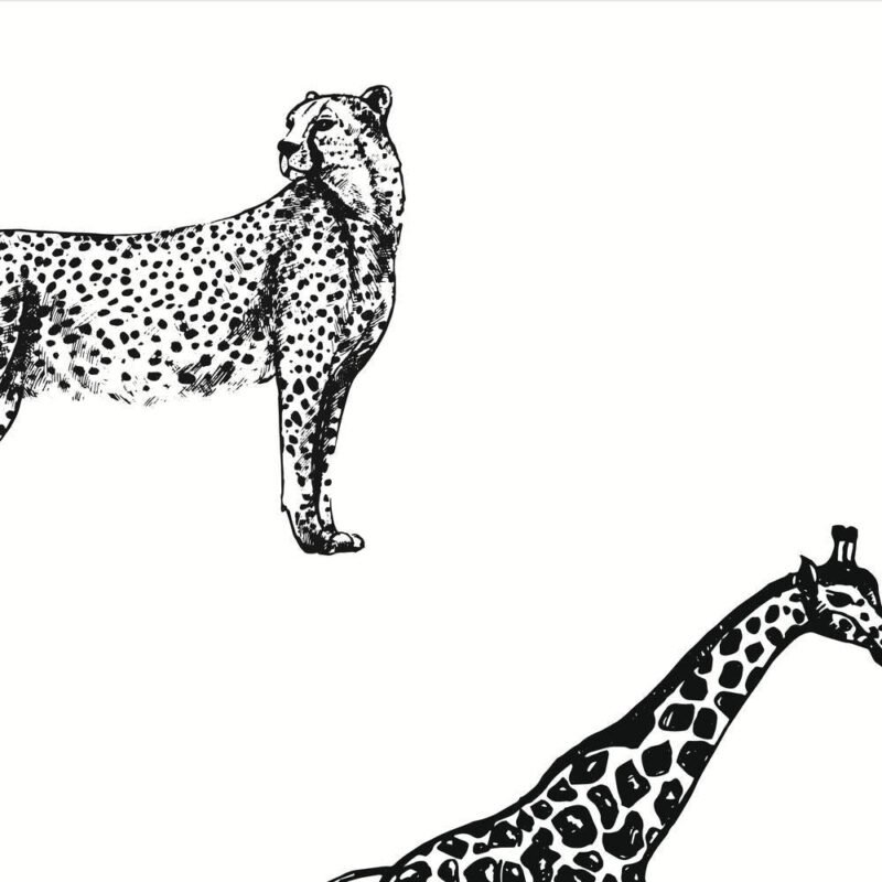 Black And White Animals  Wallpaper - Image 3