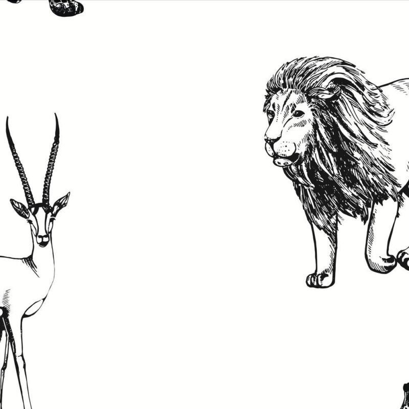 Black And White Animals  Wallpaper - Image 4